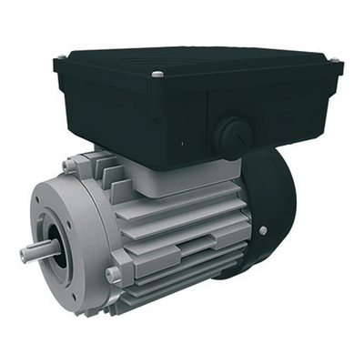 Электродвигатель 8,6кг 110/115/120V\60Hz (3-wire, type F)