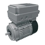 Электродвигатель 8,1кг, 110/115/120V\60Hz (5-wire, type G)