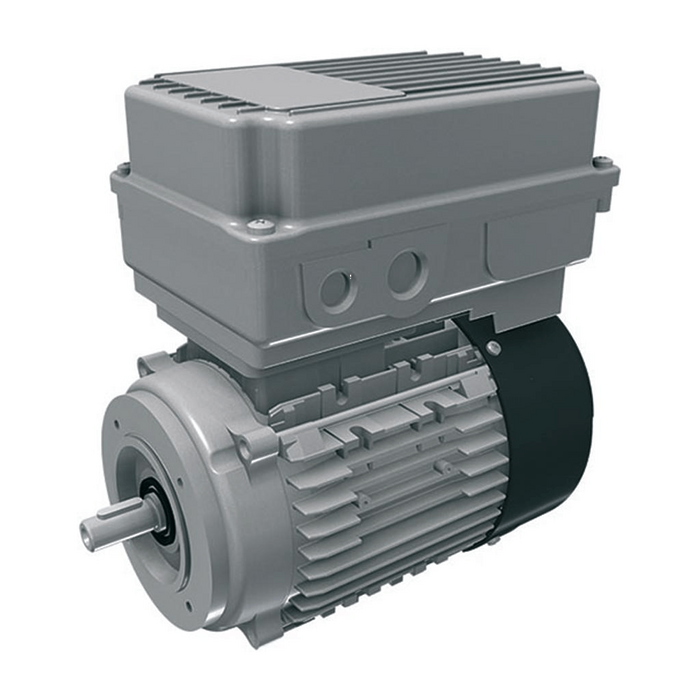 Электродвигатель 11,8кг, 220/240V\50/60Hz (5-wire, type E)