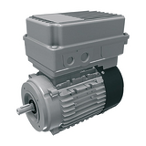 Электродвигатель 8,1кг, 220/240V\50/60Hz (5-wire, type E)