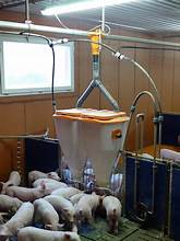 Кормушка PigNic 11/16 Jumbo для откорма, без разделителя V13