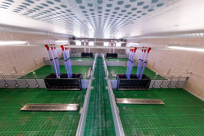 Кормовой автомат STANDART AP 3W для подсвинков, в разобранном виде